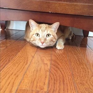 Meet your Posher, Lesa